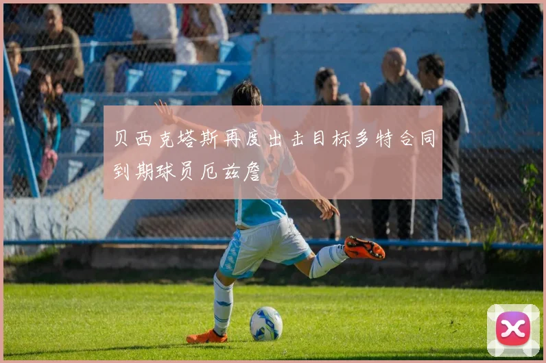 贝西克塔斯再度出击目标多特合同到期球员厄兹詹